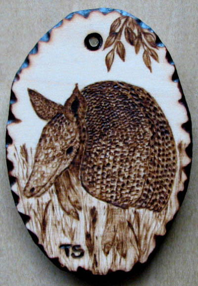 Armadillo